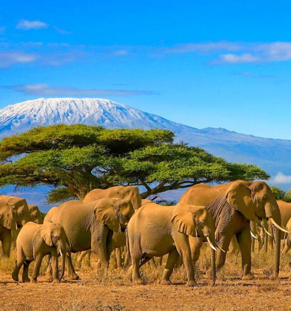 in any required fields