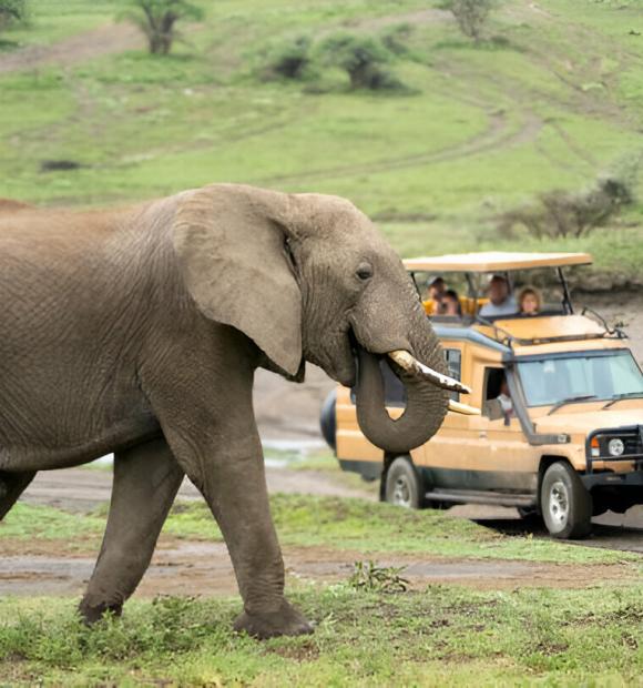 tour in ngorongoro