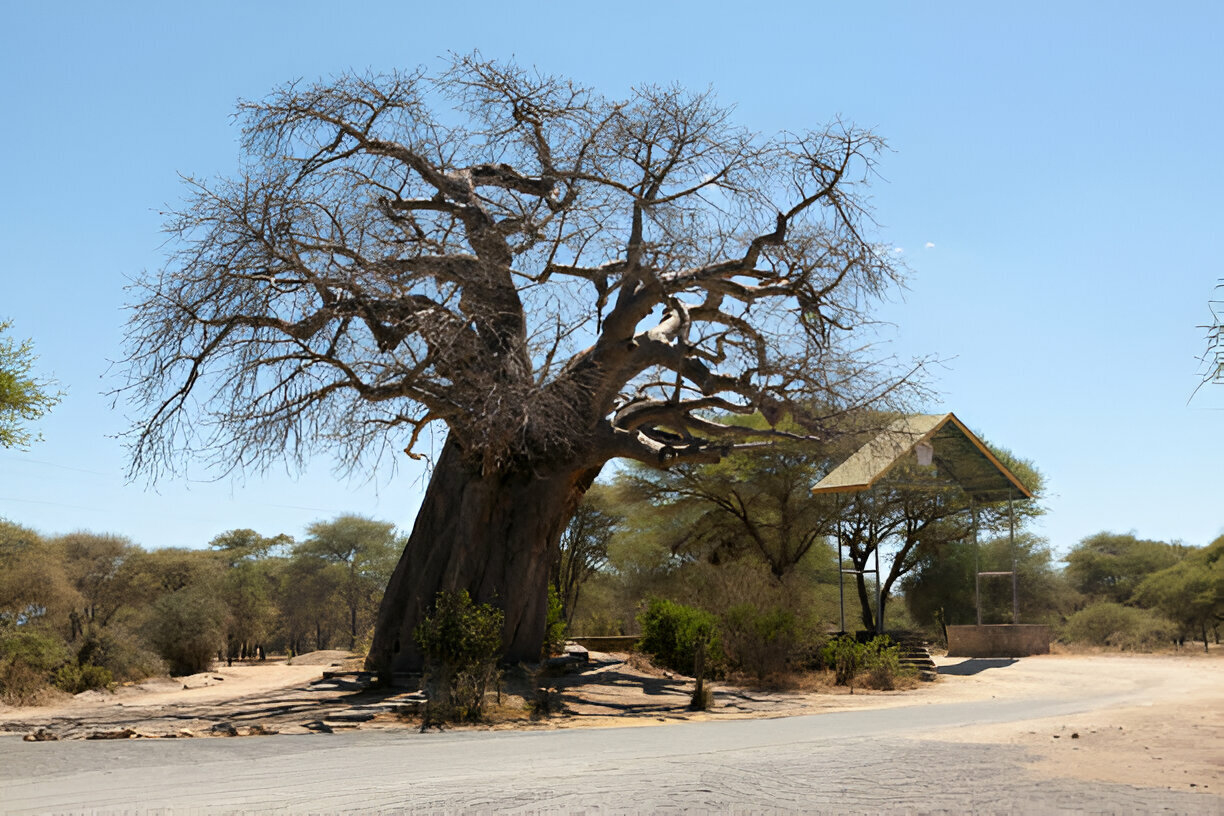 tarangire entrace